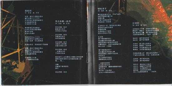 伍佰.2002-冬之火九重天演唱会特选录音专辑2CD【滚石】【WAV+CUE】