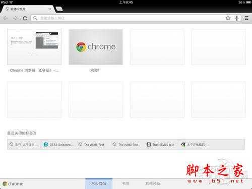 Chrome谷歌浏览器苹果iPad版界面细节体验(图文)